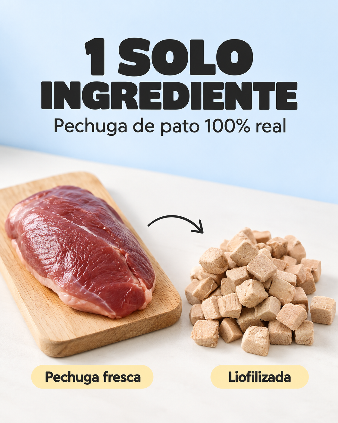 Cubitos de Pato