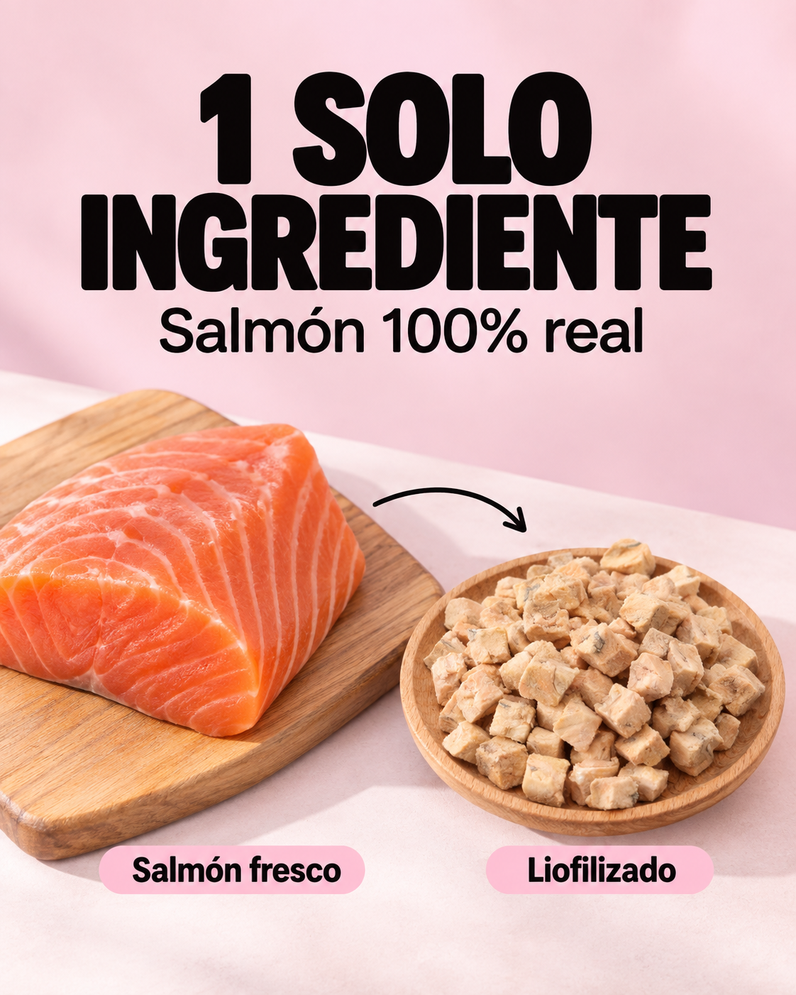 Cubitos de Salmón