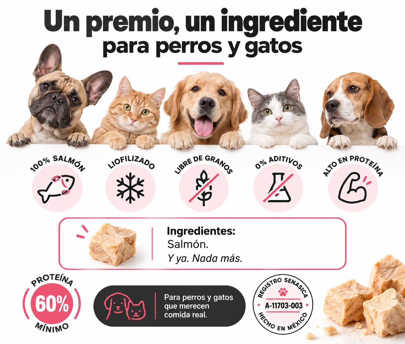 Cubitos de Salmón
