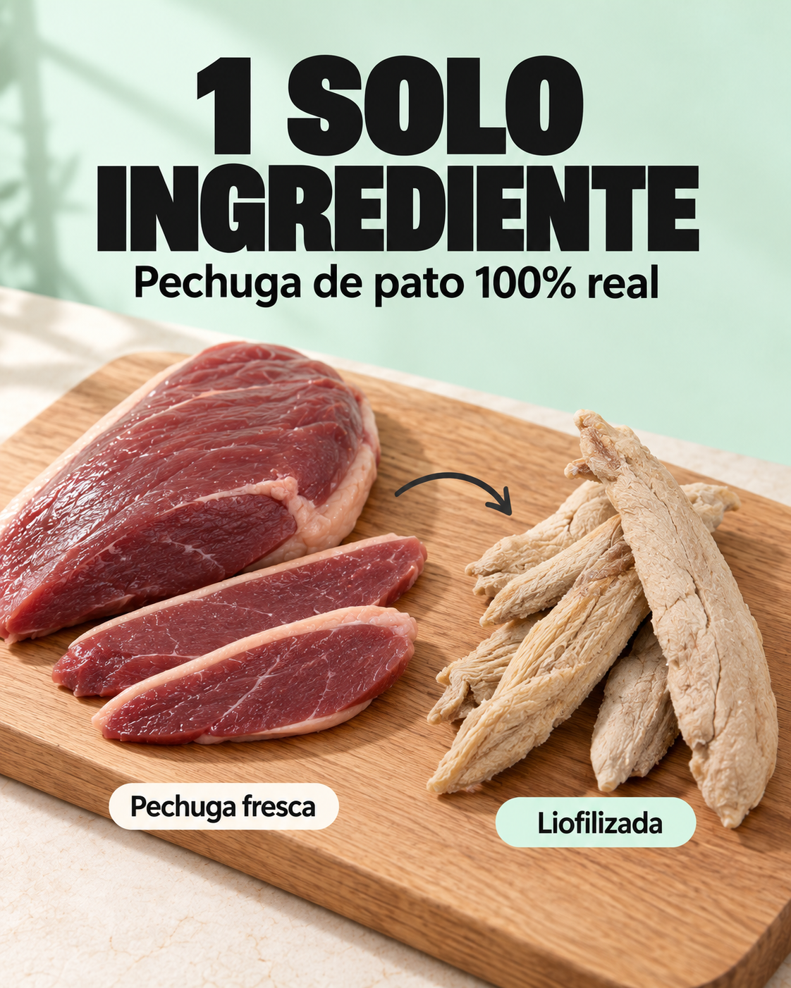 Tiritas de Pato